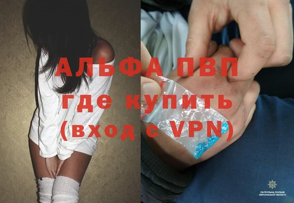 эйфоретик Беломорск