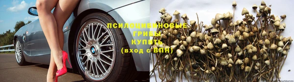 стафф Баксан